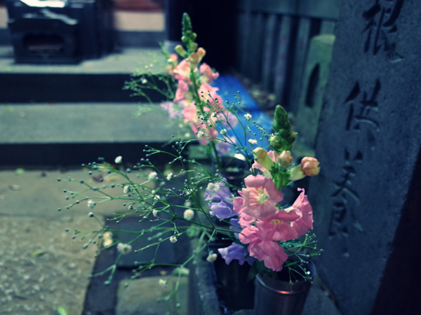 �N���X�}�X�̖�̉������Z���K�Ƃ�������