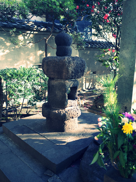 ������蒬�̍��w�r���X�ɂ��镽����̎�˂̗�