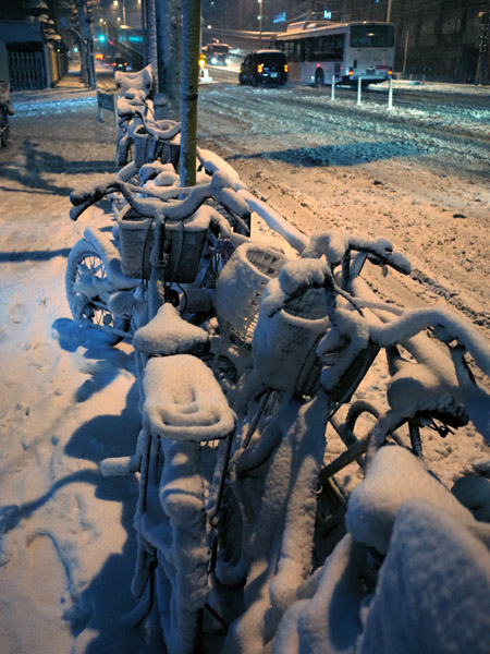 �����̖�i�@����Ǝ��]��