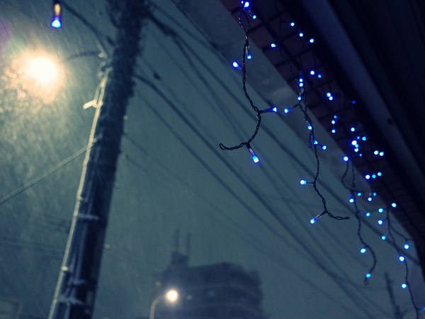 �����̖�i�@���C�g�A�b�v�Ɛ���