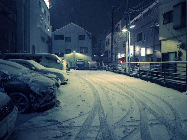 �����̖�i�@���ԏ�̐�i�F