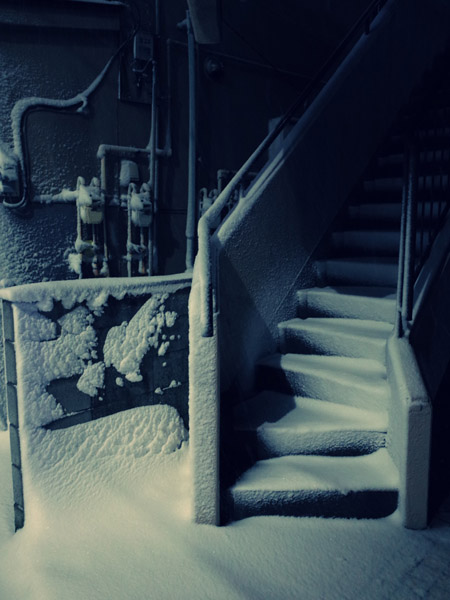 �����̖�i�@�Ⴊ�ς������K�i�̕��i