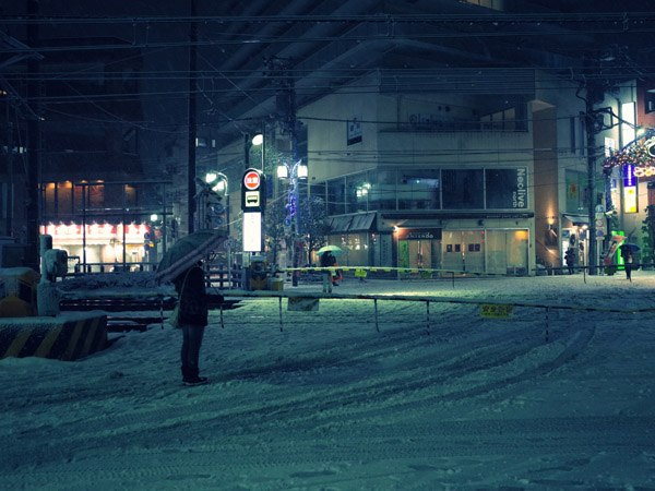 �����̖�i�@���ݐ؂�̐�i�F