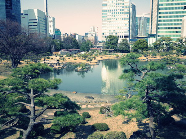 ���ŗ��{�����뉀�̘��Օ��i�ʐ^