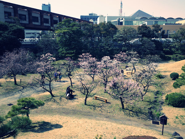 ���ŗ��{�����뉀�̘��Օ��i�ʐ^