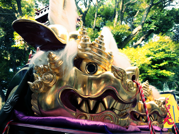 ���{�O��Ձ@�ԍ�R�����}�_�Ђ̎R���܂�̎R�Ԃ̎��q����