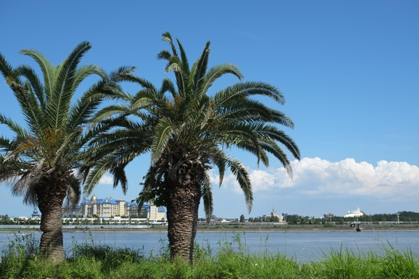 �����ՊC�����ƑΊ݂̓����f�B�Y�j�[�����h