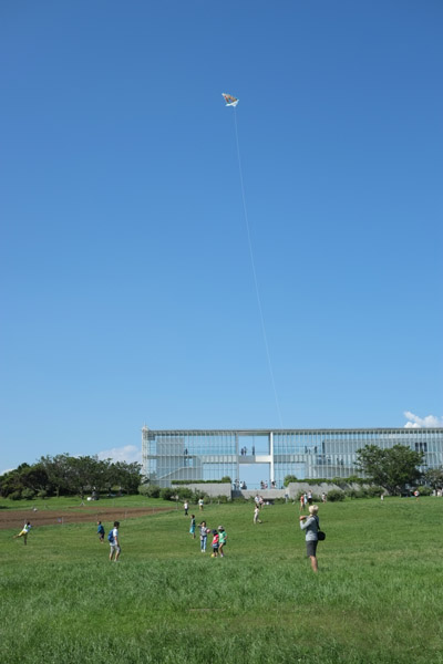 �ċ�̊����ՊC�����̑����ő��g������l