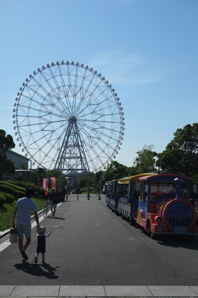 �����ՊC�����̊ϗ��ԂƏ�����