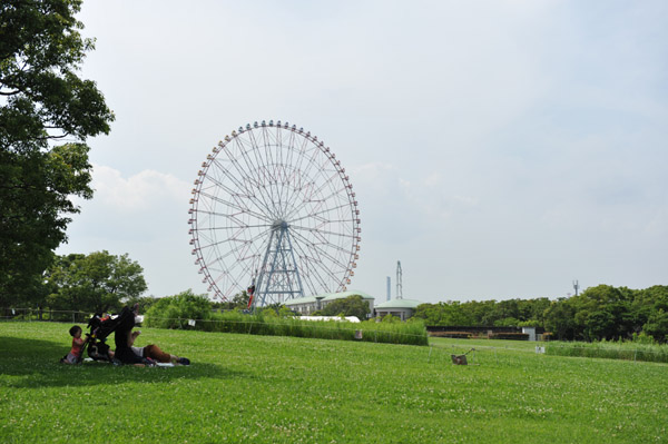 �J��25���N�L�O���ʖ����J�����̊����ՊC�����̕��i