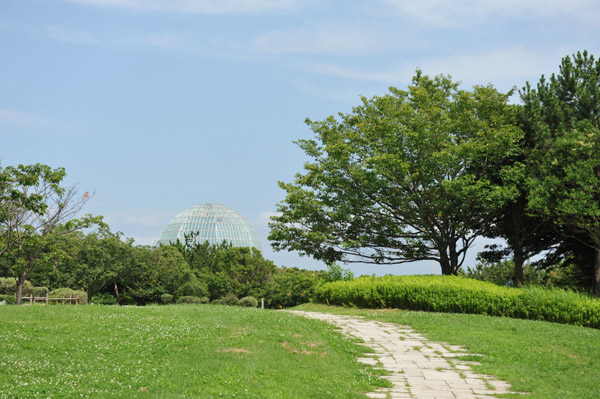 �J��25���N�L�O���ʖ����J�����̊����ՊC�������̕��i