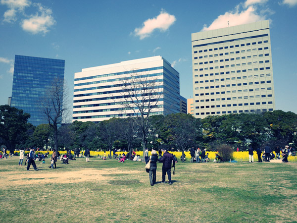 �l���{�����뉀�̍؂̉Ԃ��炭���i