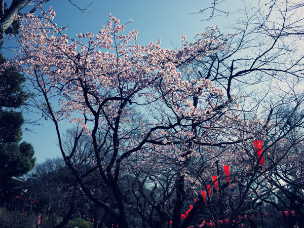 �������̍����i�ƒ񓔏���