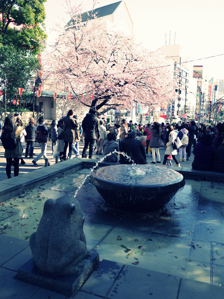 �������̓�����̍��ʐ^