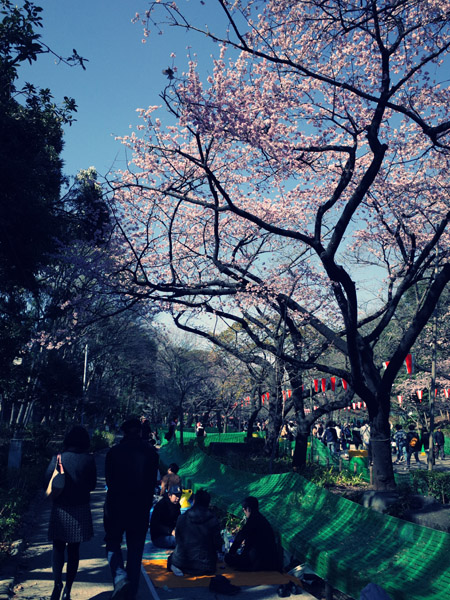 �������̂��Ԍ����i