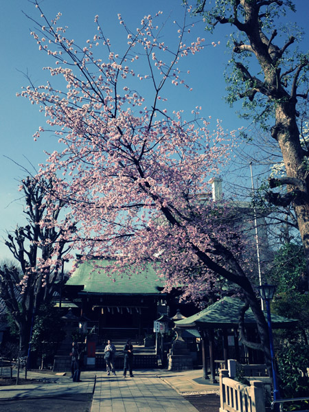 �������ƌܞ��V�_�Ђ̍��ʐ^