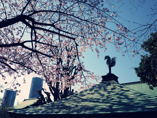 ���ܞ��V�_�Ђ̍��Ǝ萅�̖P��