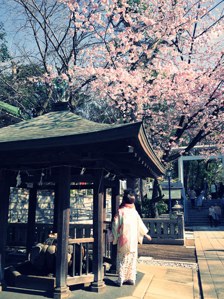 �������ƌܞ��V�_�Ђ̍��ʐ^