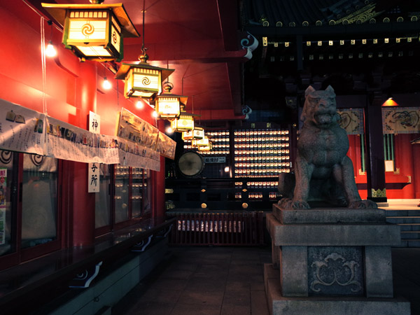 �H�t���_�c���_�̍����̖�i