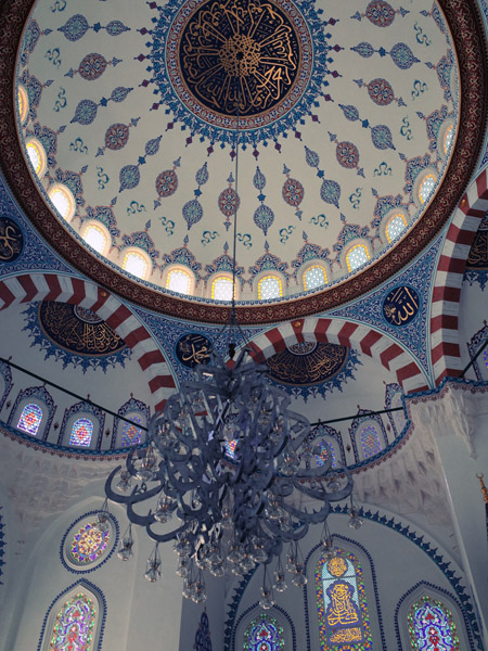 �����W���[�~�C�i�����W���[�~�[�j�g���R�����Z���^�[�̗�q��