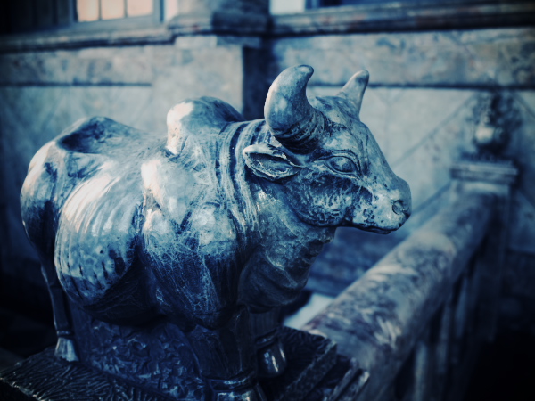 �z�n�{�莛�̊K�i�̓����Α�(��)