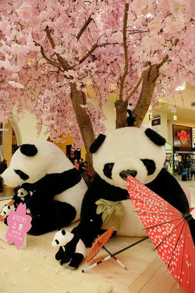 JR���w�ɂł��Ԍ�������p���_�B