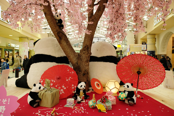 JR���w�ɂł��Ԍ�������p���_�B