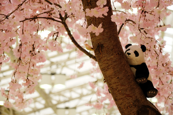 �ؓo��p���_