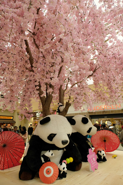 JR���w�ɂł��Ԍ�������p���_�B